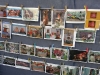 NextGen scrollGallery2 thumbnail
