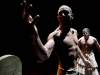Variations Antigone